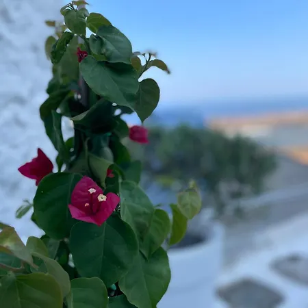 The Great Balcony Hébergement de vacances